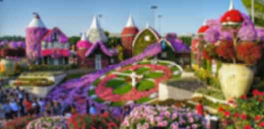 A Delightful Dubai Honeymoon Package For 7 Days