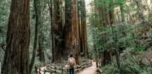 A Southern California to Northern California Adventure : San Diego, Los Angeles and San Francisco