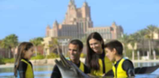 Dubai New Year Packages With BBQ & Dubai Aquarium