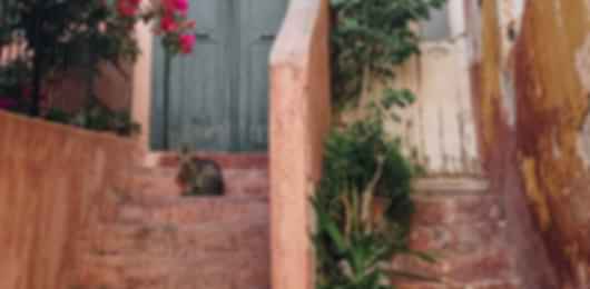Athens Greece Vacation Packages
