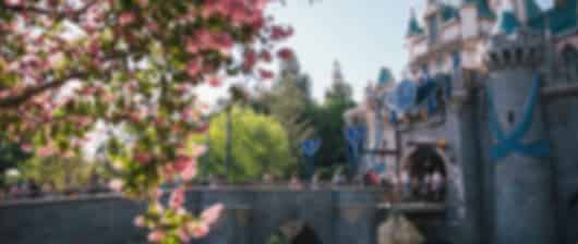 5 Nights Unforgettable Paris Disneyland Trip with Nice Tour