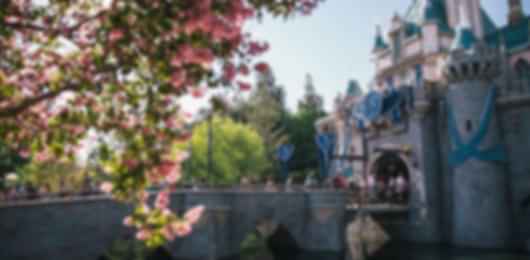 5 Nights Unforgettable Paris Disneyland Trip with Nice Tour