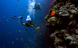 Dazzling 3 Nights Dubai Trip with City Tour | Book Now!