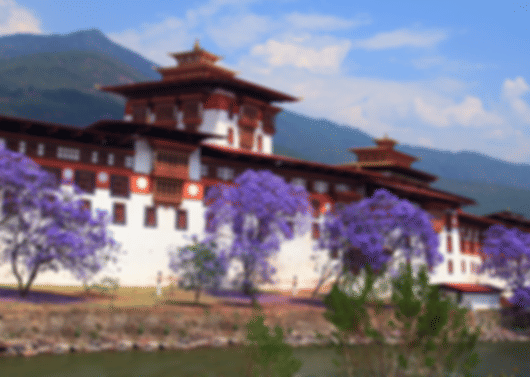 Explore Bhutan: 4 Nights in Thimphu & Paro's Splendor