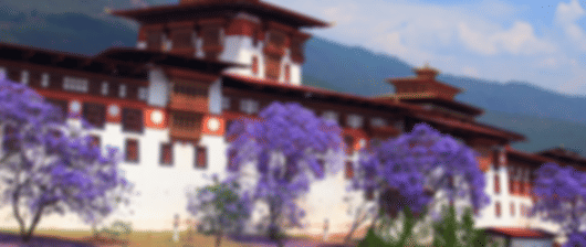 Explore Bhutan: 4 Nights in Thimphu & Paro's Splendor