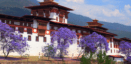 Explore Bhutan: 4 Nights in Thimphu & Paro's Splendor