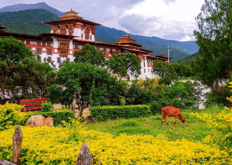Explore Bhutan: 4 Nights in Thimphu & Paro's Splendor