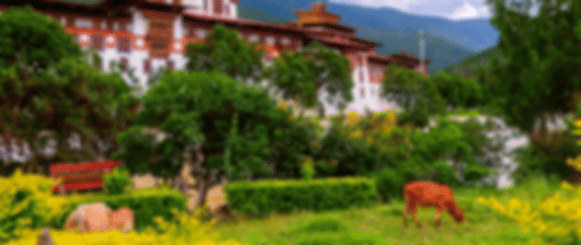 Explore Bhutan: 4 Nights in Thimphu & Paro's Splendor