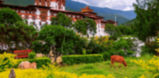 Explore Bhutan: 4 Nights in Thimphu & Paro's Splendor