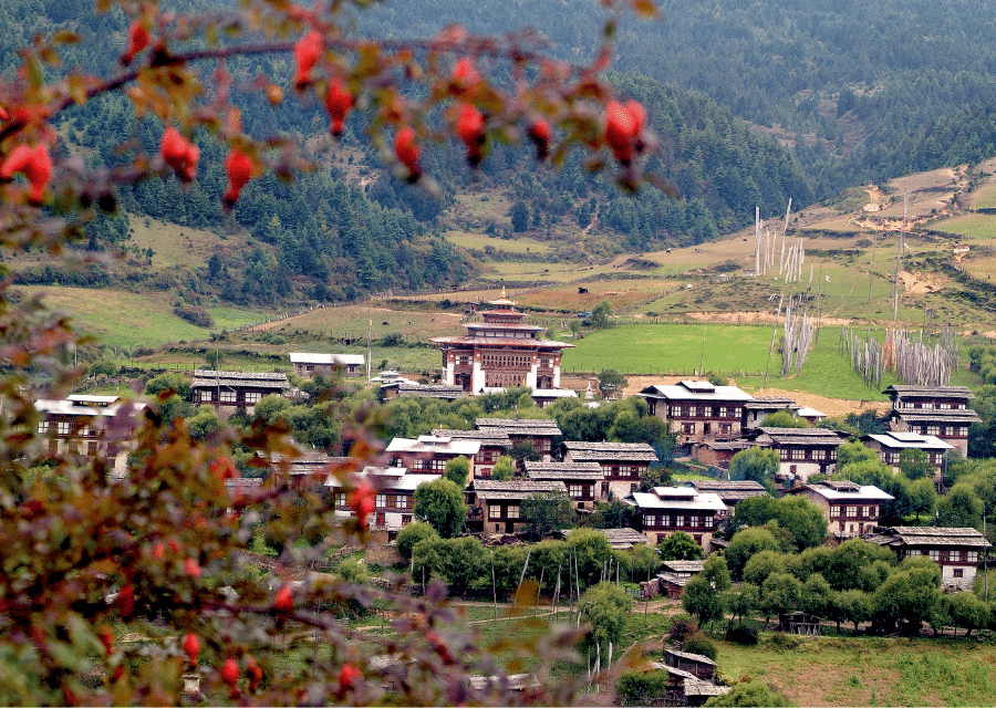 Experience Bhutan: 6 Nights in Thimphu and Paro