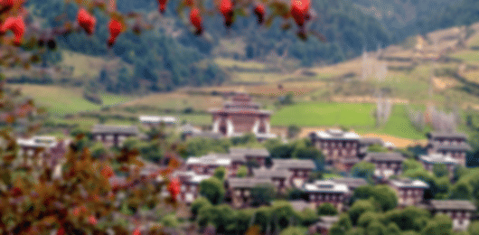 Experience Bhutan: 6 Nights in Thimphu and Paro