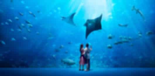 Singapore Fun Break: Resorts World Sentosa Experience