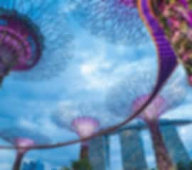 Singapore Essentials Getaway