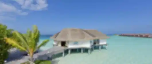 Your Private Island Awaits at Cocogiri