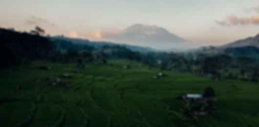 Ideal Bali Indonesia Honeymoon Package