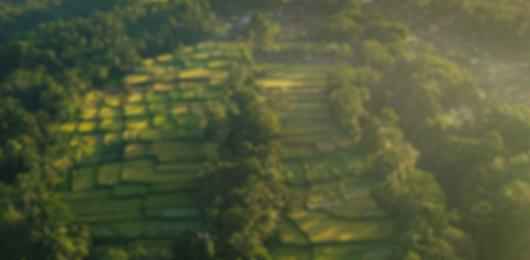 Perfect 7 Nights Bangalore to Bali Package