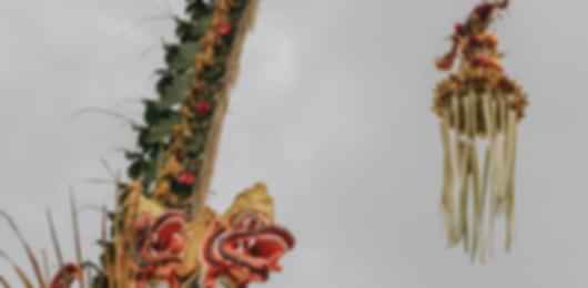 Beautiful 9 Nights Bangalore to Bali Indonesia Package