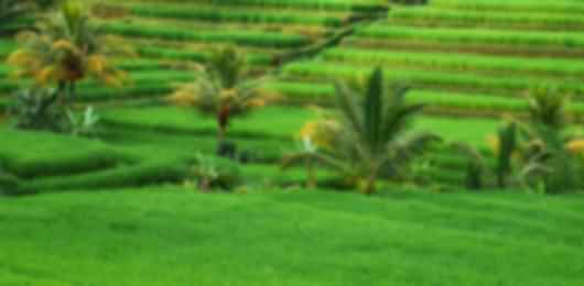 Dazzling 12 Nights Bali Packages From Bangalore Including Airfare