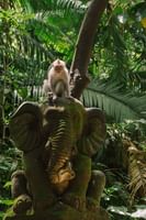 Popular 6 Nights Bali Indonesia Package from Chennai
