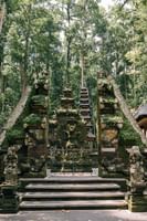 Magical 6 Nights Bali Travel Packages from Chennai