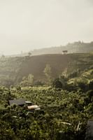 Jubilant Bali Indonesia Honeymoon Package from Chennai