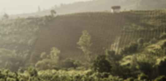 Jubilant Bali Indonesia Honeymoon Package from Chennai