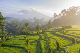 Enigmatic 5 Nights Bali Couple Tour Package From Ahmedabad