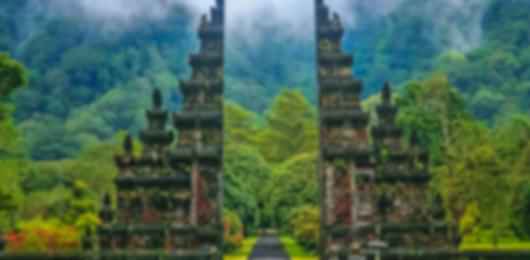Picture Perfect Bali Instagram Tour