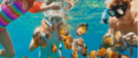 The best of nature & adventure—a fun-filled family holiday in Bali 6D | 5N