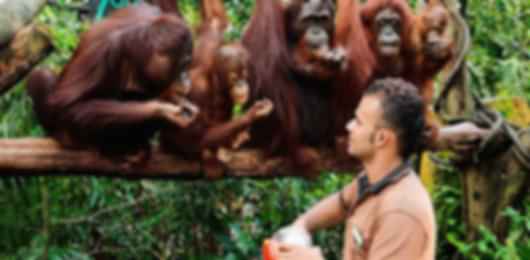 Singapore in 7 Days: Explore Mandai Wildlife & Iconic Landmarks