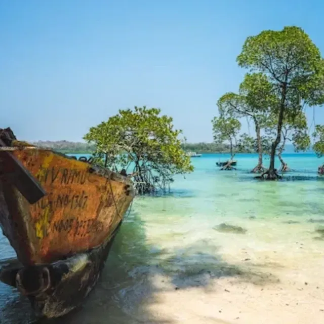 Honeymoon Bliss: Romantic Andaman with Candlelight Dinner