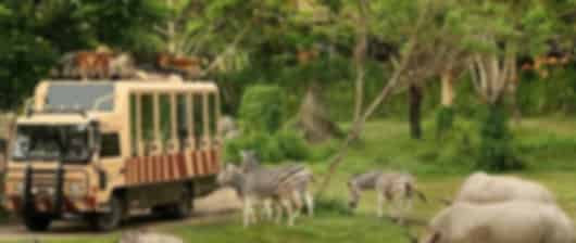 Grand Thai Expedition: 7 Nights in Bangkok, Pattaya, Phuket and Krabi!! All Inclusive Thailand Package