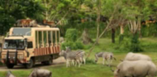 Grand Thai Expedition: 7 Nights in Bangkok, Pattaya, Phuket and Krabi!! All Inclusive Thailand Package