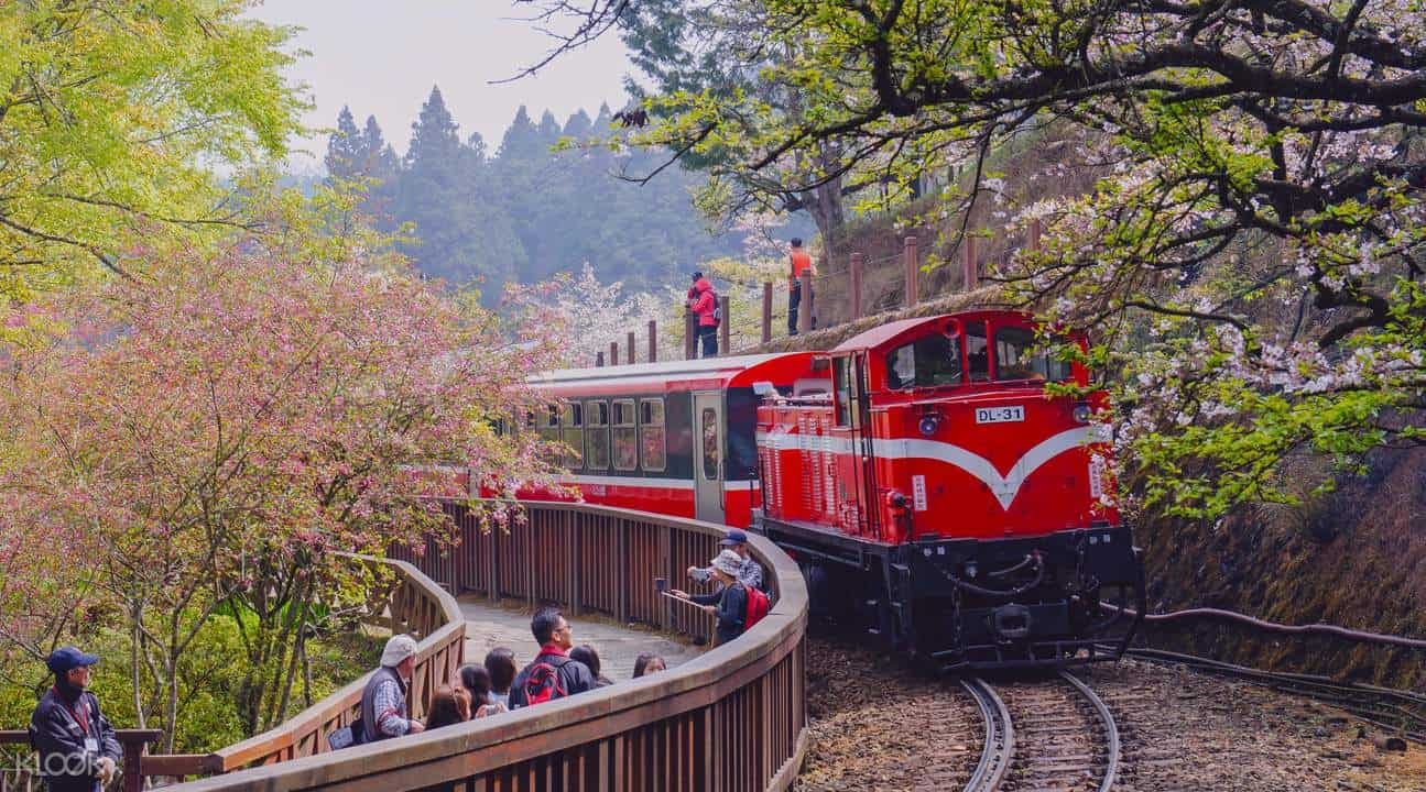 Best of Taiwan: A 10-Night City & Culture Escape
