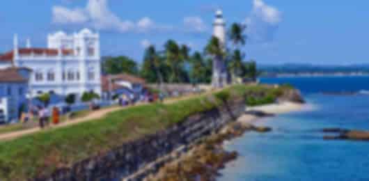 5 Nights Nuwara Eliya, Yala & Galle | Hill Country Views, Wildlife Safari and Coastal Heritage