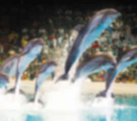 Classic Emirates Couple Escape 6N 7D