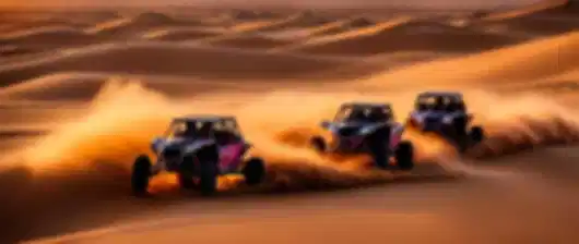 Desert Adventures in Abu Dhabi