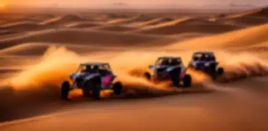 Desert Adventures in Abu Dhabi