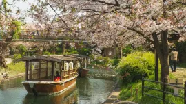 Japan 9 Nights 10 Days Luxury Itinerary