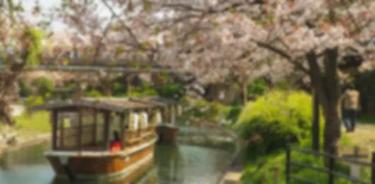 Japan 9 Nights 10 Days Luxury Itinerary