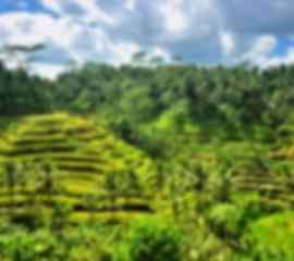 2 Nights Ubud, 3 Nights Kuta