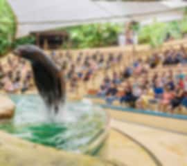 5N Singapore Mandai Grand Highlights