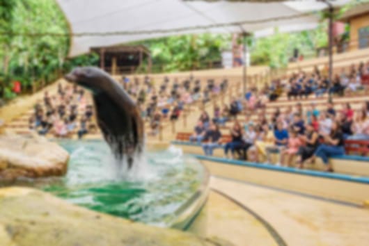 5N Singapore Mandai Grand Highlights