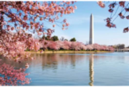 8 Days New York Couple Tour Itinerary