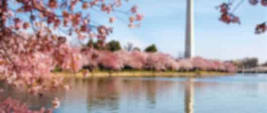 8 Days New York Couple Tour Itinerary