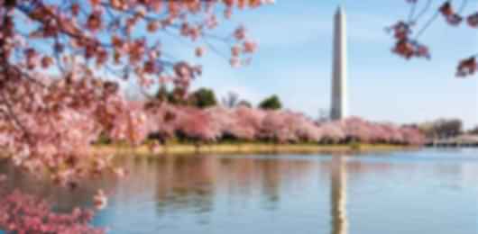 8 Days New York Couple Tour Itinerary