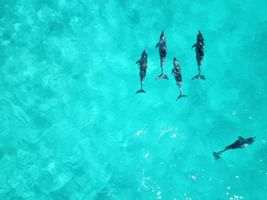 Spectacular 18-Night Itinerary for Australia Trip