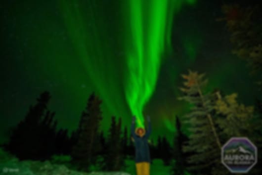 Incredible Aurora