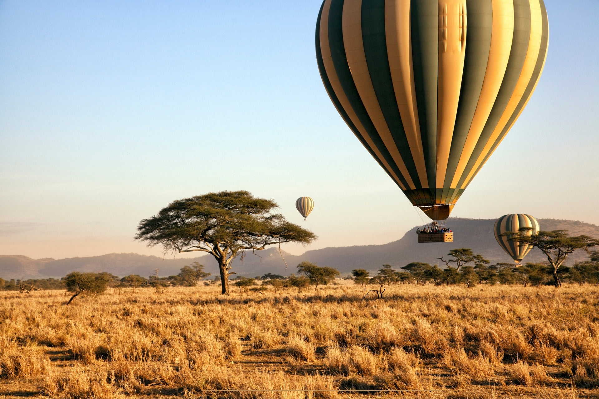 Wild Tanzania & Zanzibar: Safari Meets the Sea