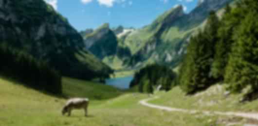 Lovely 9 Nights Swiss & Paris Couple Packages